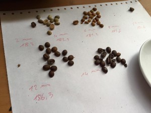 Comparing roasted coffee color...
